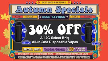 BestBuds Dispensary BestBuds Women Owned: 30% Off 2G Briqs All-in-One!