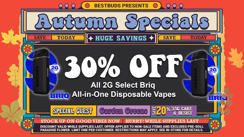 BestBuds Dispensary BestBuds Women Owned: 30% Off 2G Briqs All-in-One!