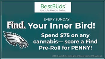 BestBuds Dispensary 🏈 FOOTBALL SUNDAY SPECIAL! 🏈