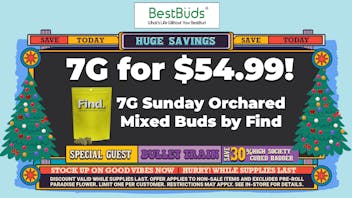 BestBuds Dispensary 🔥 Snag This Deal Before It Disappears! 🔥