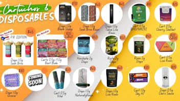 Seed Cannabis Collection Thanskiving SEED PROMO