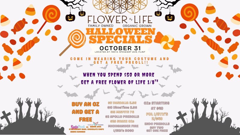 Flower of Life 👻 Halloween Specials 🎃