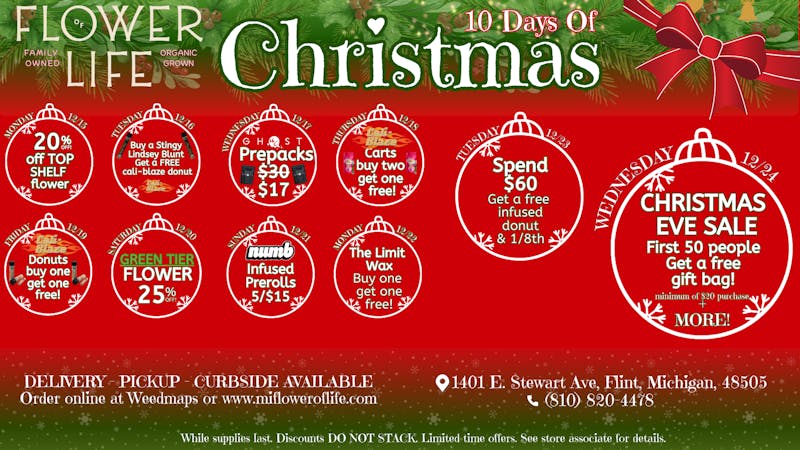 Flower of Life- Delivery 10 Days of Christmas SALE!!!!