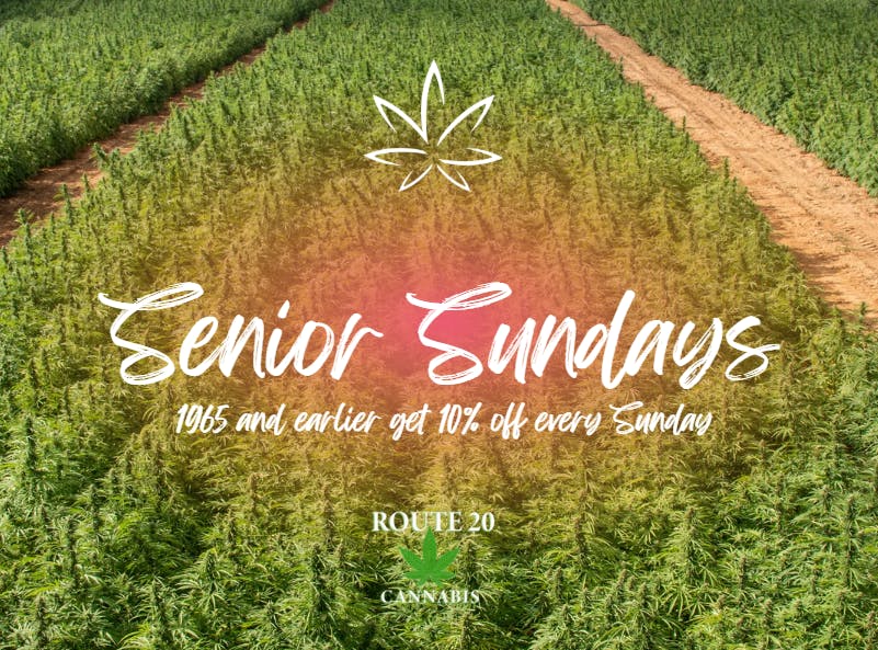 Route 20 Cannabis - Dispensary Listing - Photo 3