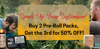 Route 20 Cannabis Spark Up Your September!