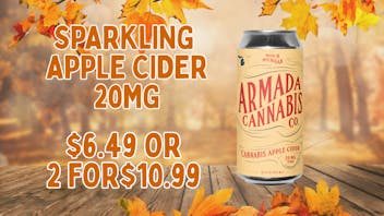 First Class Lansing (formerly Dispo) Sparkling Apple Cider