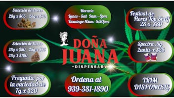 Dona Juana - Caguas Festival de flores