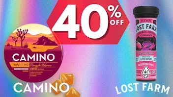 Backpack Boyz San Bernardino 40% OFF Camino & Lost Farm