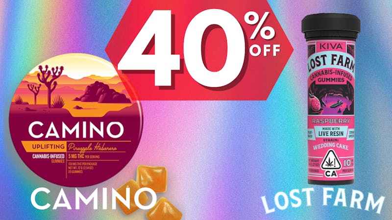 Backpack Boyz San Bernardino 40% OFF Camino & Lost Farm