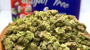 Norcal Medicine Man 50% OFF Sugar Tree $39 Half Ounces