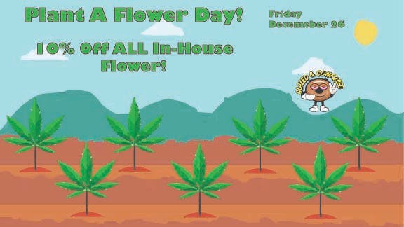 Glazed and Confused 10% Off In-House Flower!