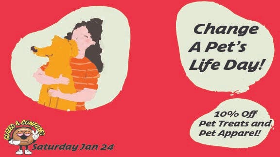 Glazed and Confused 10% Off Pet Treats and Apparel!