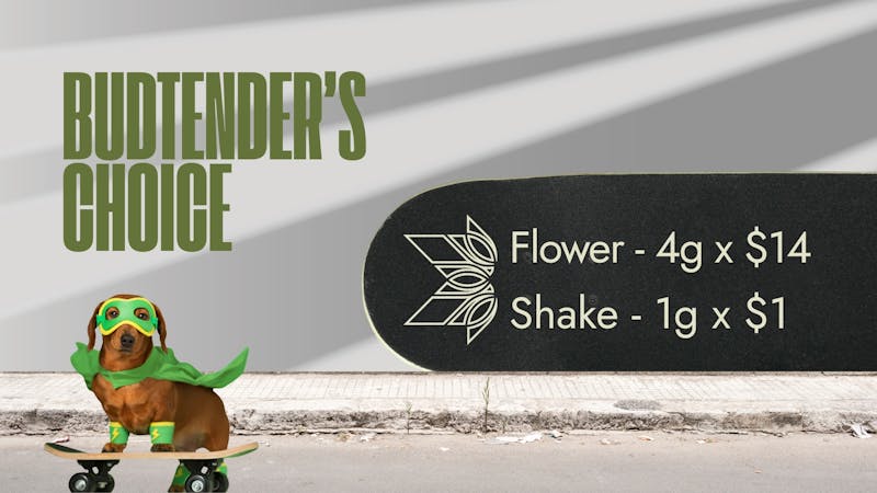 Terpa 🔥 DECEMBER MUST HAVE 🔥