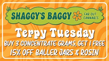 Shaggy's Baggy Shaggy's Terpy Tuesday