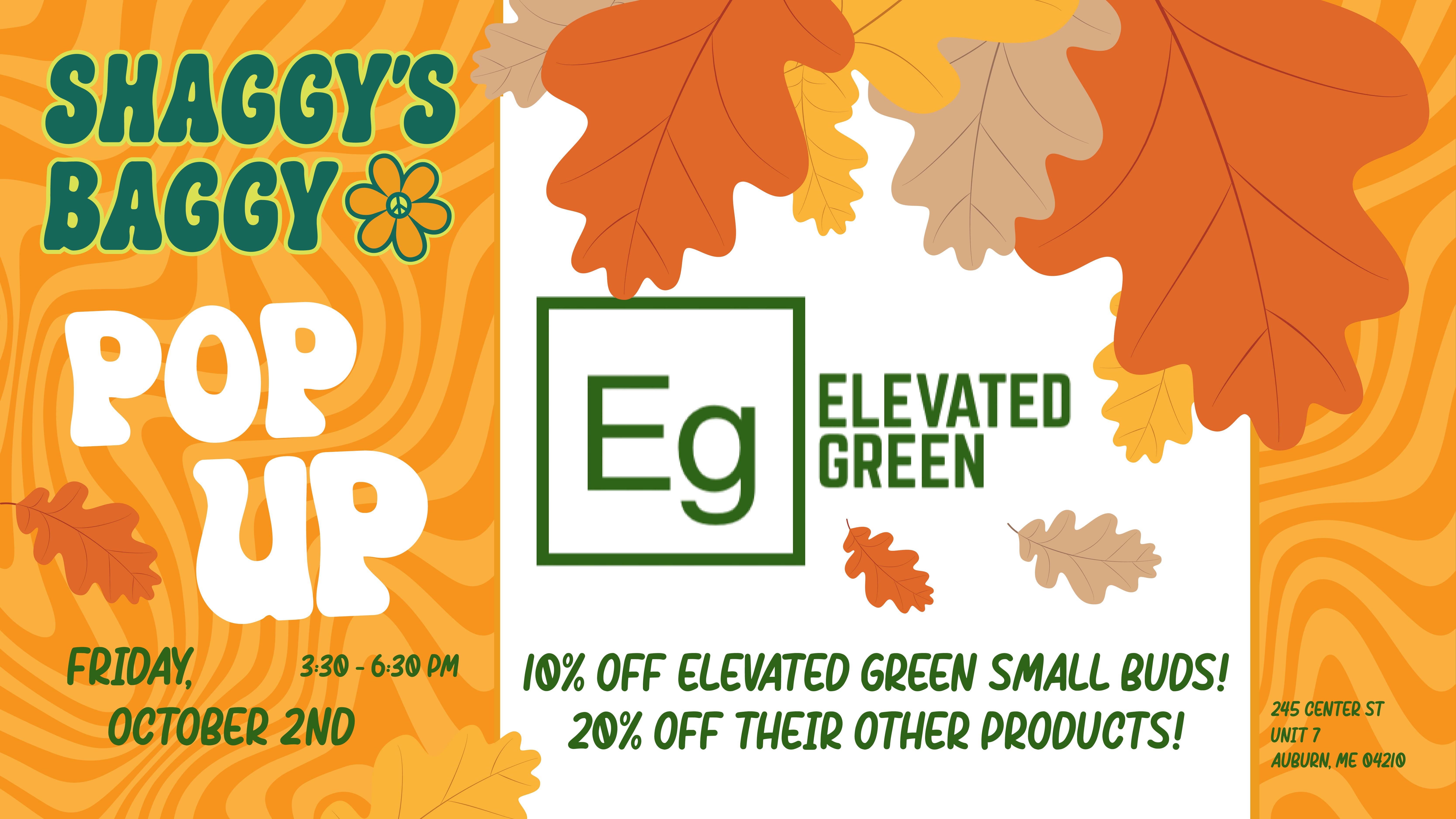 Shaggy's Baggy Elevated Green Pop Up @ Shaggy's! 10/2 3:30-6:30pm