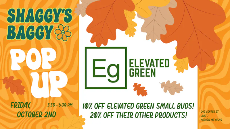 Shaggy's Baggy Elevated Green Pop Up @ Shaggy's! 10/2 3:30-6:30pm