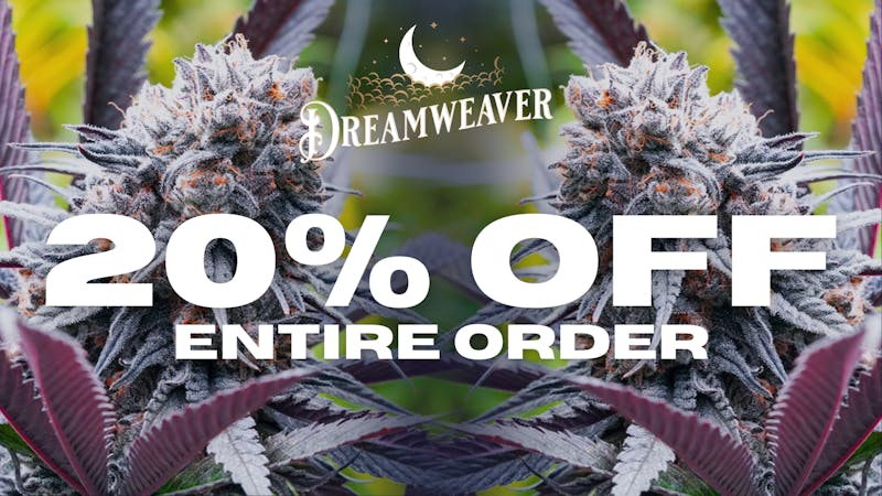 Dreamweaver - East Try Dreamweaver