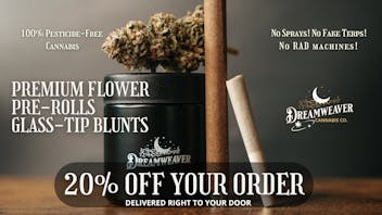 Dreamweaver - West Get 20% Off Your Entire Order