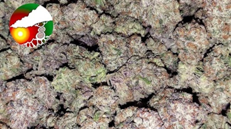 JAHnetics 🔥$79 - 1oz - Premium Indoor - $20 per 1/8th 🔥