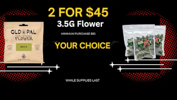 Toke Lane - Buffalo TWO 3.5G FLOWER $45