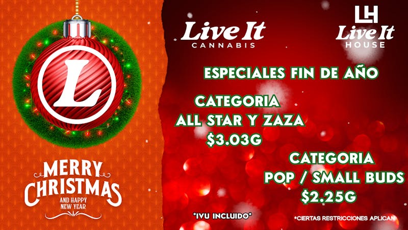 Live It House 🎄3.03G ALL STAR Y ZAZA Y 2.25 SMALL BUDS 🎅