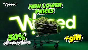 Weeed 50% OFF ON ALL ORDERS+GIFT- NO PROMO CODE REQUIRED