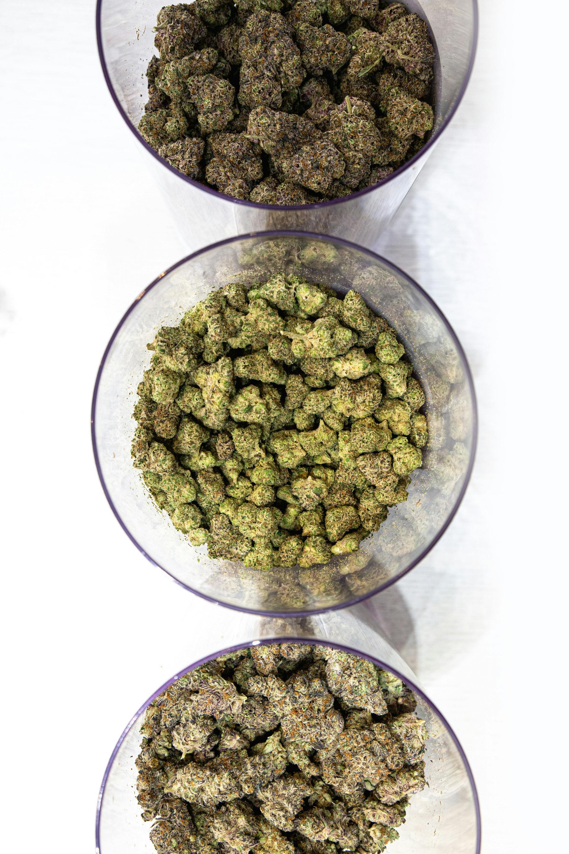 8th Street Canna - Dispensary Listing - Photo 3