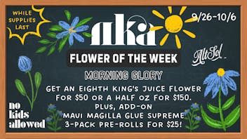 No Kids Allowed Morning Glory ☀️