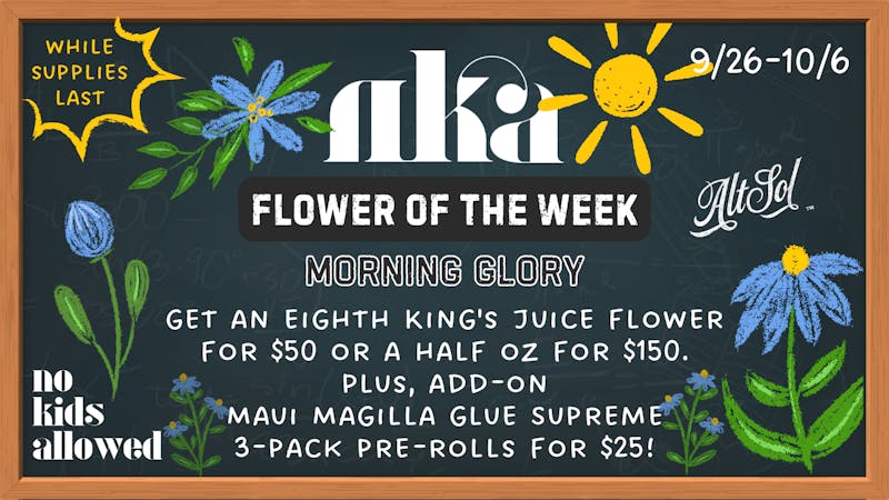 No Kids Allowed Morning Glory ☀️