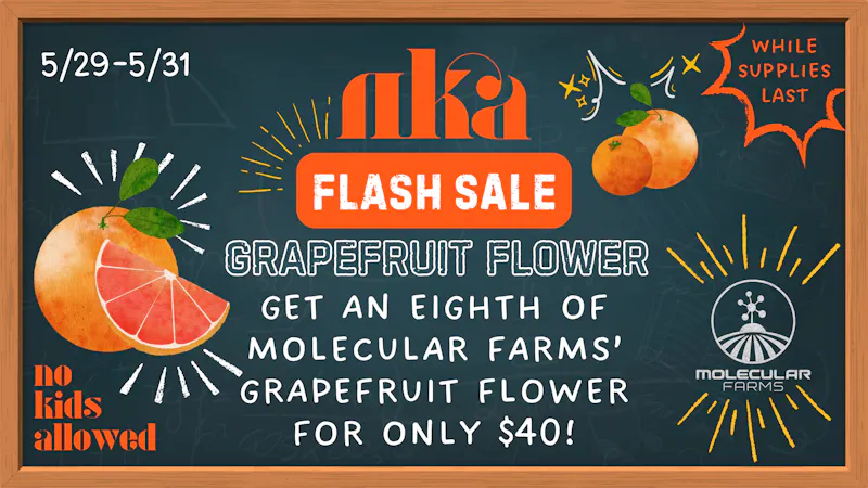 No Kids Allowed Flash Sale: Grapefruit 🍊