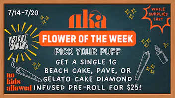 No Kids Allowed Pick Your Puff 💨