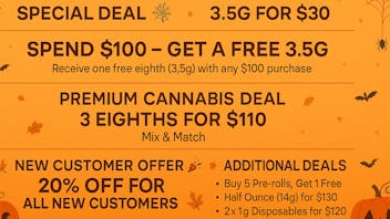 Green Life 🎃 Fall & Halloween Specials – Green Life