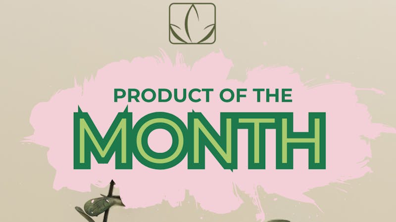 Aligned 50mg Wellness Suppositories — Now 15% Off