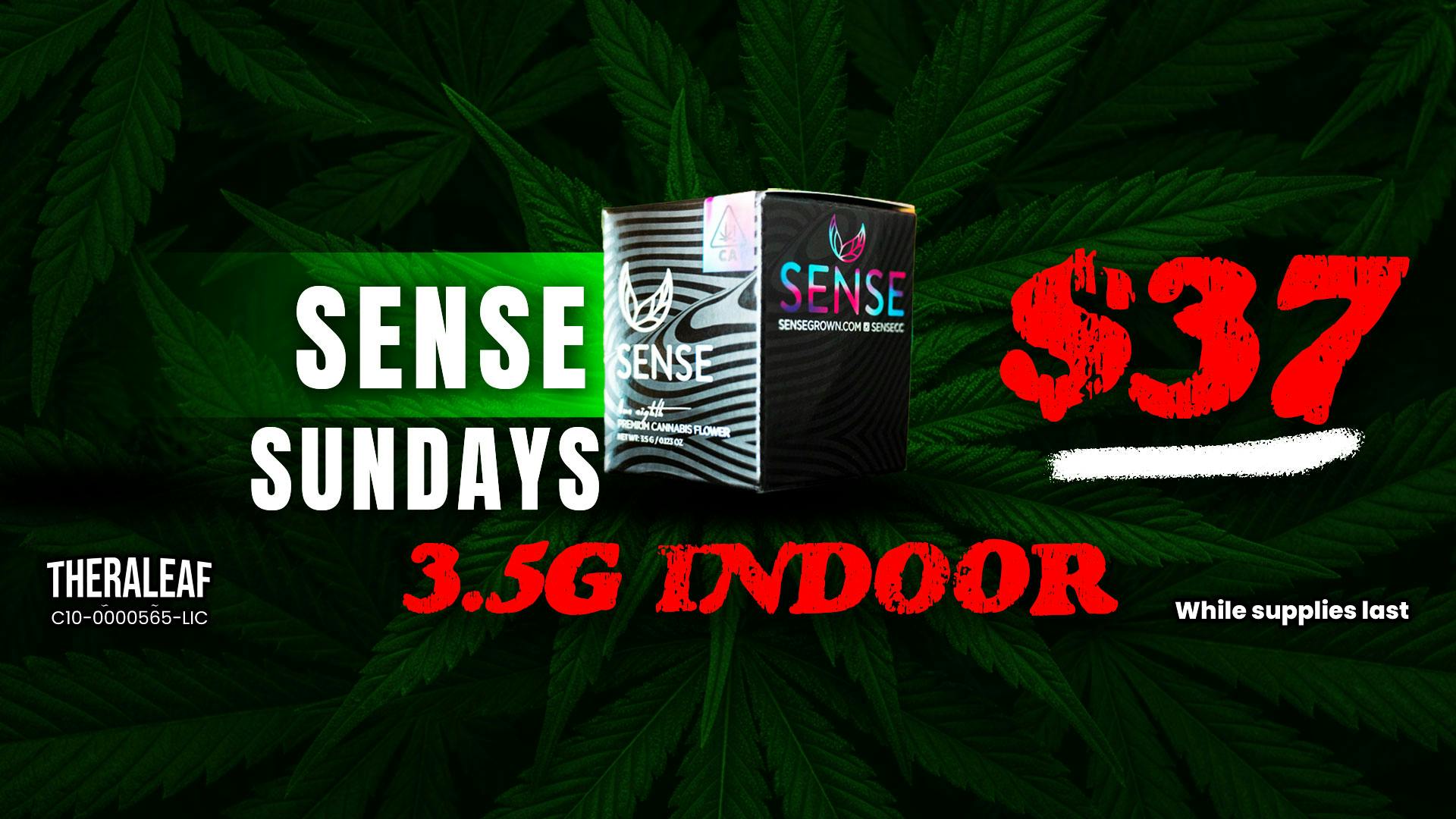 Theraleaf Sense Sundays! 3.5g Indoor only $37