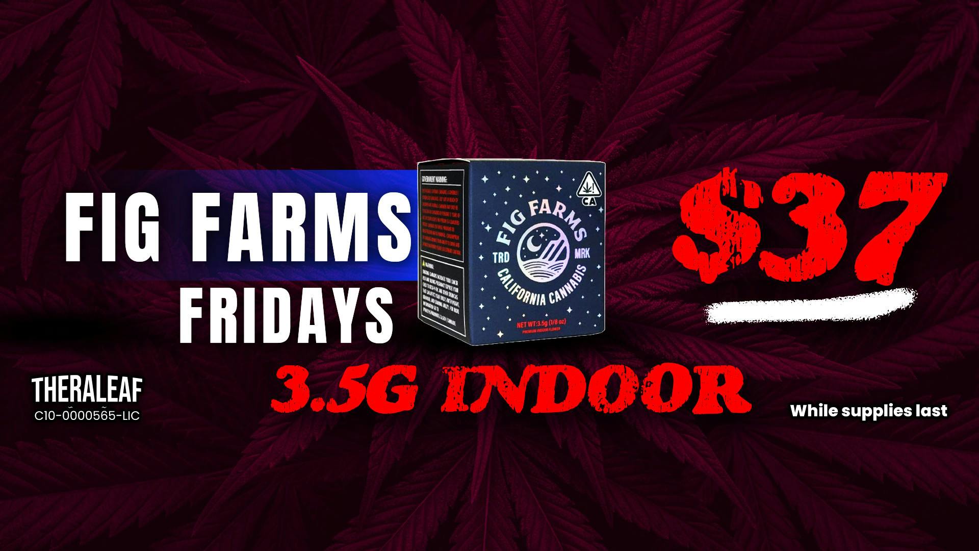 Theraleaf Fig Farm Fridays $37 Out The Door