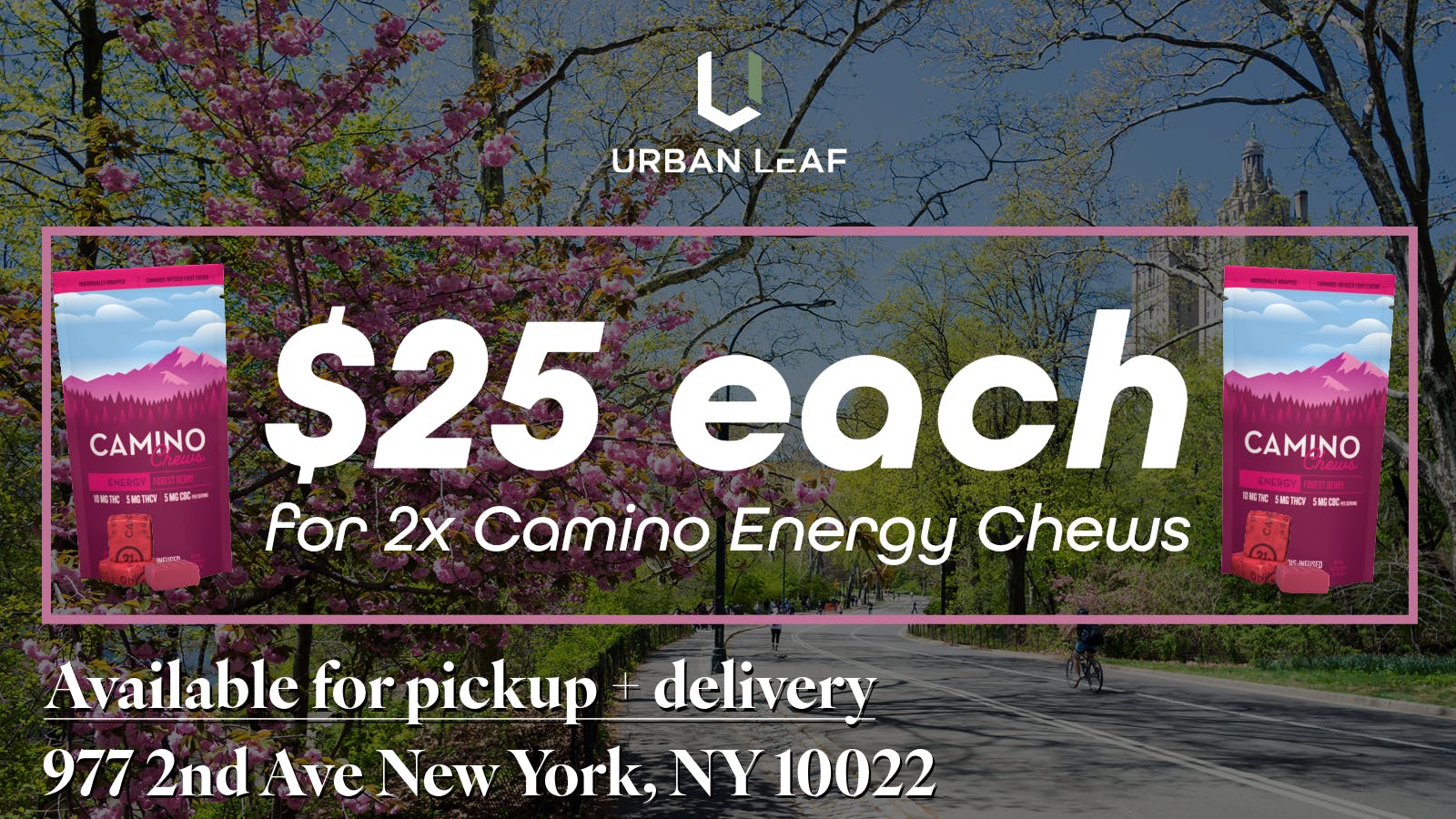 Urban Leaf Buy 2x Camino Energy Chews for $25 each