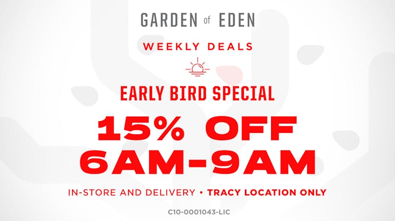 Garden Of Eden - Tracy Early Bird Special 15% OFF