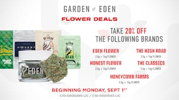 Garden Of Eden - Tracy Premium Flower Deal – 20% OFF!
