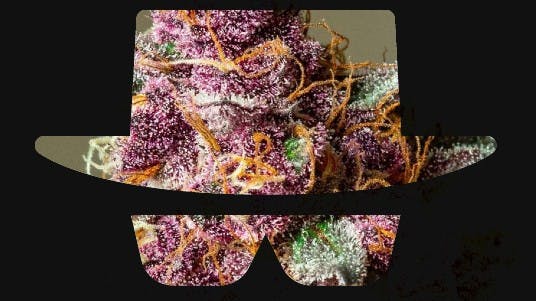 Breaking Bud Dispensary Flower Friday 20% off all flower