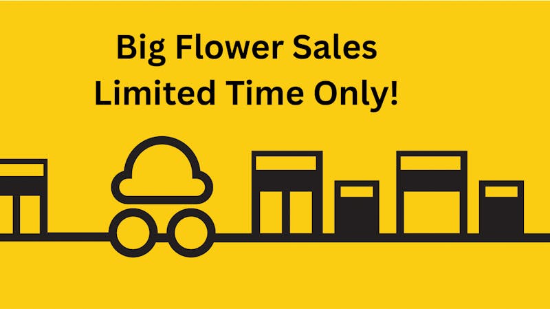 Pot & Goods BIG FLOWER SALES