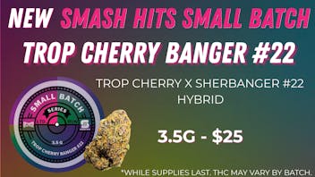 Canna Provisions Holyoke NEW Smash Hits - Trop Cherry Banger #22 🍒