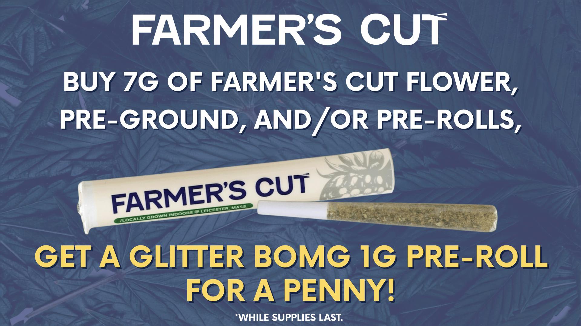 Canna Provisions Holyoke 👩‍🌾 Farmer’s Cut