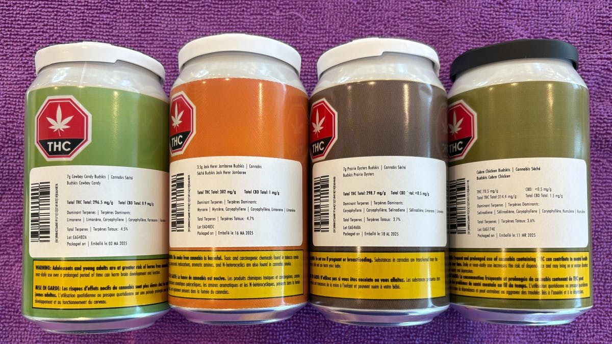 Heritage Cannabis East Factory Outlet Law Abiding 6 pack