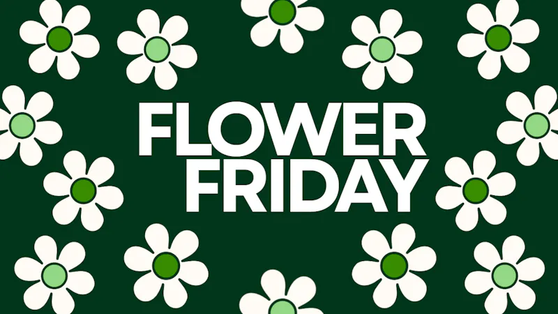 Dakota Health and Wellness FLOWER FRIDAY 20% OFF ALL FLOWER!!