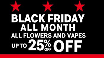 Vibez DC - Tenleytown / Georgetown BLACK FRIDAY MONTH