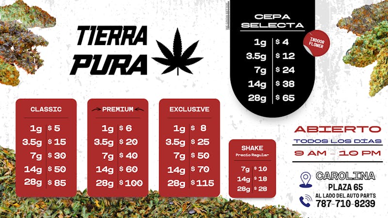 Tierra Pura - Carolina 🏆 FLOWER DEALS SEPTIEMBRE 🌺