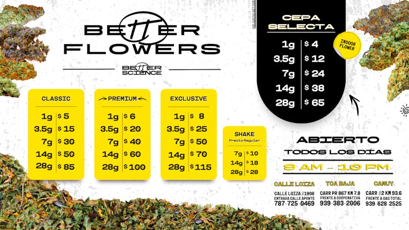 Better Science - Camuy 🏆 FLOWER DEALS SEPTEMBER 🪴