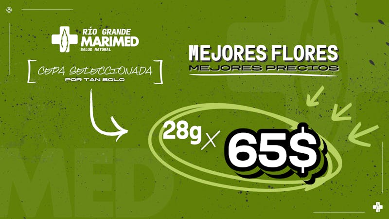MARIMED ✅ OFERTA DE FLORES 🫨