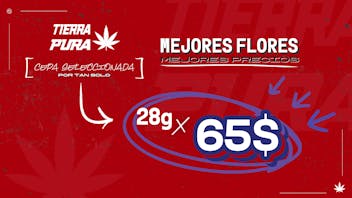 Tierra Pura - Carolina ✅ OFERTA DE FLORES 🫨