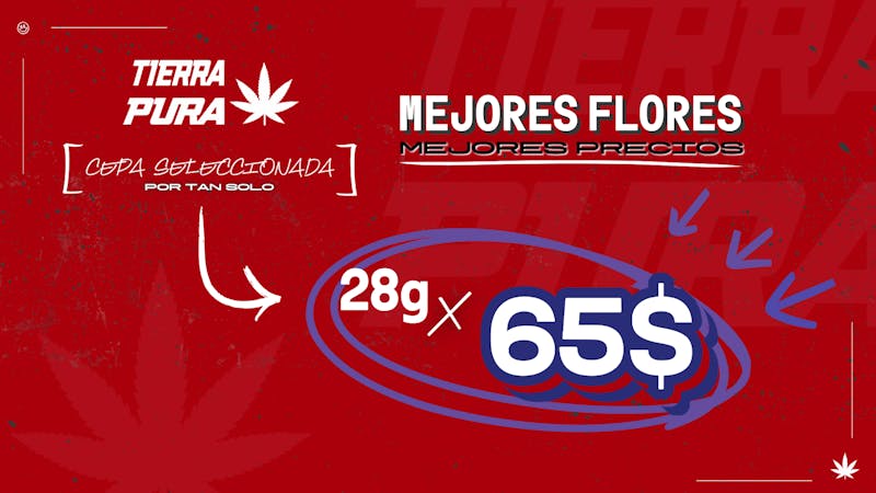 Tierra Pura - Carolina ✅ OFERTA DE FLORES 🫨